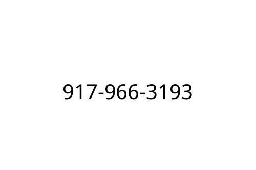 917-966-3193