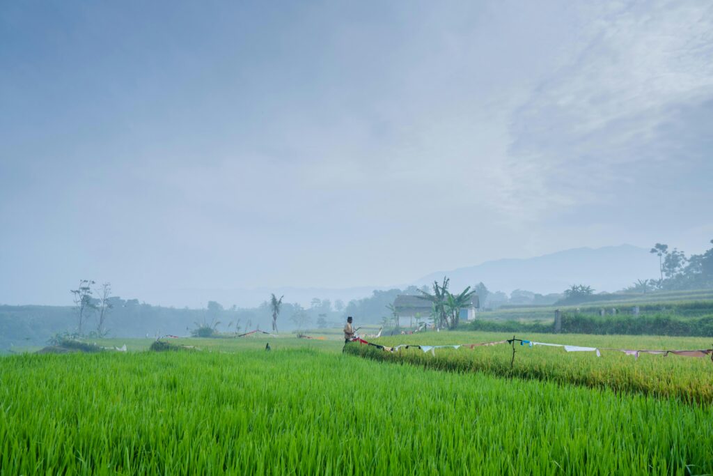 Insights into New Game Features and Mechanics