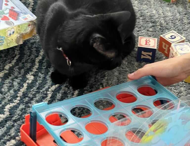 ginprokash industries ltd management