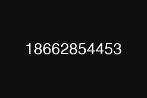 18662854453