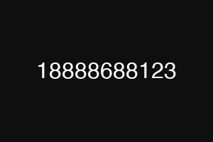18888688123