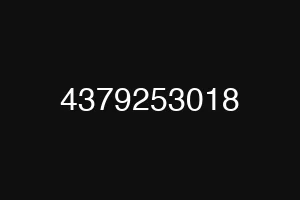 4379253018