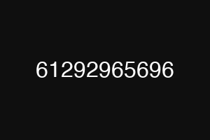 61292965696