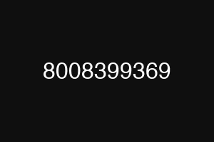 8008399369