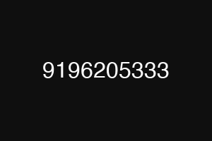 9196205333