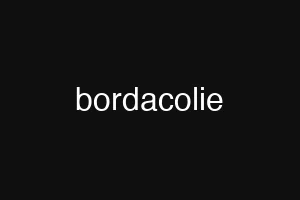 bordacolie