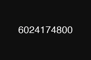 6024174800