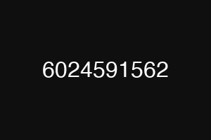 6024591562