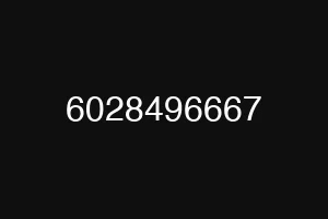 6028496667