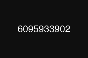 6095933902