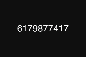 6179877417