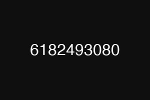 6182493080