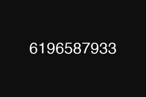 6196587933