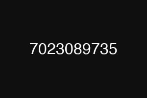 7023089735