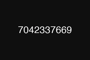 7042337669