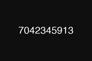 7042345913