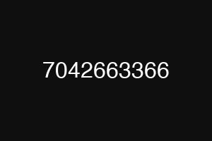 7042663366