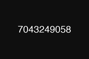 7043249058