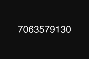 7063579130
