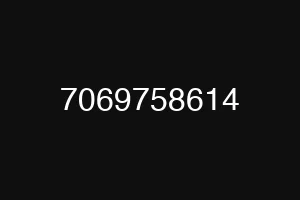 7069758614