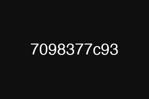 7098377c93