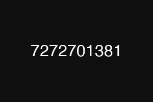 7272701381