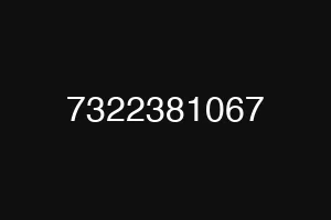 7322381067