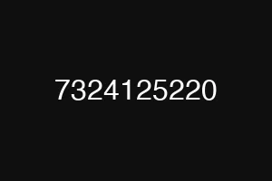 7324125220