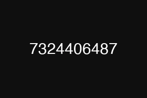 7324406487