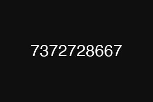 7372728667