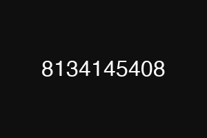 8134145408