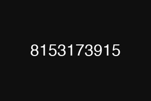 8153173915