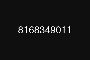 8168349011