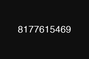 8177615469