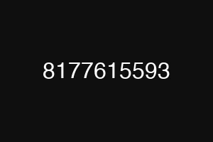 8177615593