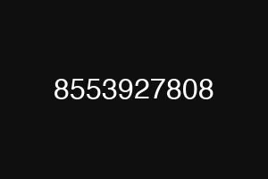 8553927808