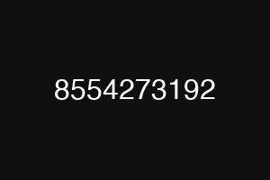 8554273192