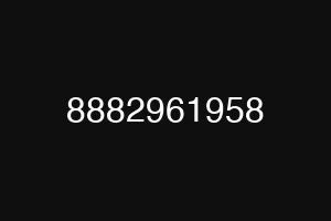 8882961958
