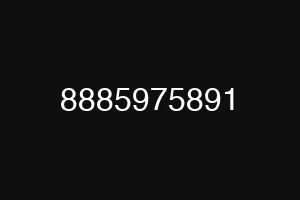 8885975891