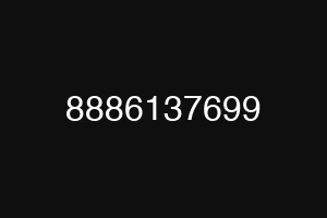 8886137699